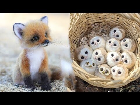 Cute Baby Animals Videos Compilation | Funny and Cute Moment of the Animals #29 - Cutest Animals