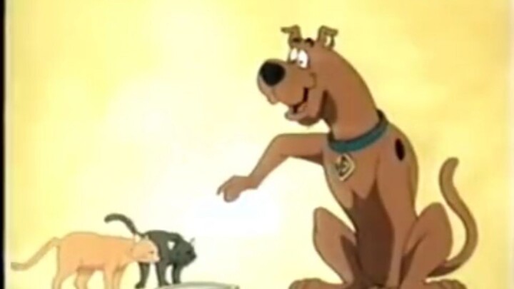 Scooby - doo Mystery Incorporate 3