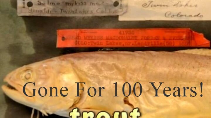 Gone For 100 Years