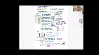 BIOLOGI F5 TISU TUMBUHAN