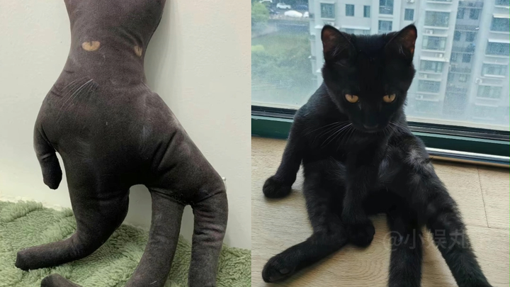 كنت أتساءل كم يمكن أن يكون قبيحًا، لكن بعدما فتحته، ههههه، حقًا قبيح لدرجة أدهشتني!