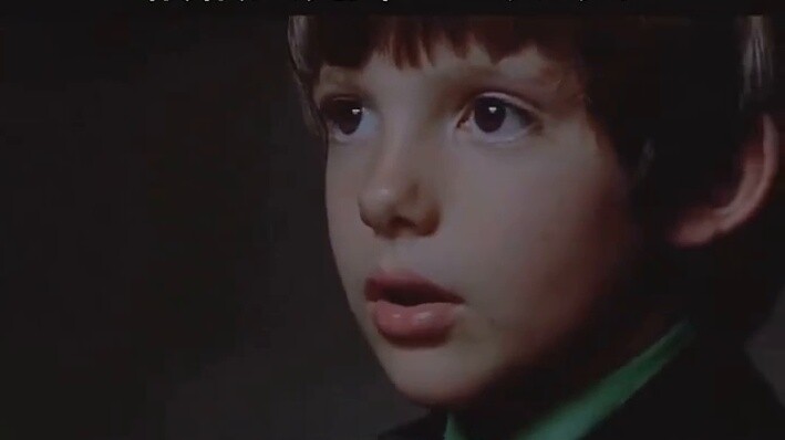 A little boy accidentally witnesses a murder, but he is the only witness