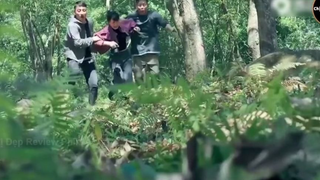 Lòng tham không đáy và sự trả thù của loài Xà Vương... P1 #reviewphimhay