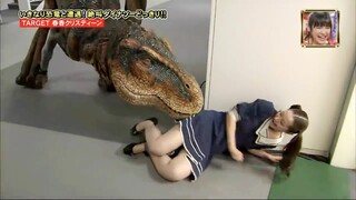 Best Japanese Pranks Compilation