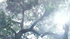 ♡ 21-30 •บั.น.ทึ.ก.หิ.ม.ะ•