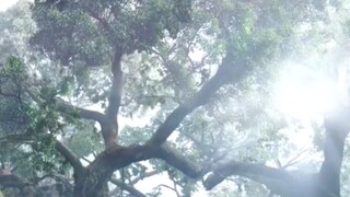 ♡ 21-30 •บั.น.ทึ.ก.หิ.ม.ะ•