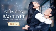 Phim Giữa Cơn Bão Tuyết - Tập 12 | Vietsub