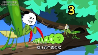 飞刀螳螂，夜袭青虫窝