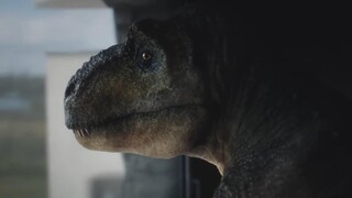 手短，难道是我的错？