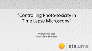 Controlling Phototoxicity in Time Lapse Microscopy