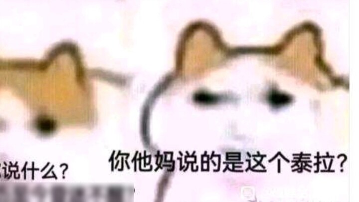 Gambar My Neighbor Totoro Terrier Versi Diperpanjang
