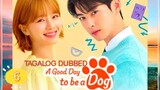 A GOOD DAY TO BE A DOG EP6