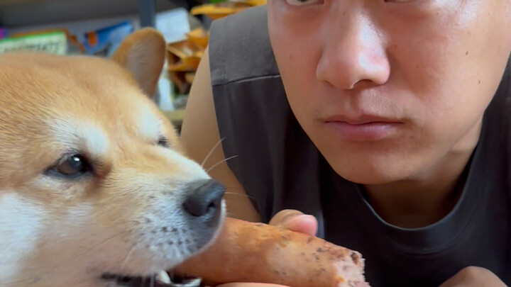 You really don’t think of yourself as a dog—actually snatching my sausage!