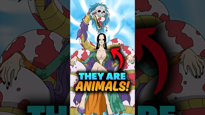 Seven Warlords of the Sea are Animals! One Piece Theory #onepiece #shorts