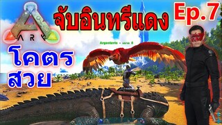 ARK Survival Evolved 2020 ( EP.7 ) ตามจับ อินทรีแดงหายาก บอกเลยว่าโคตรสวย