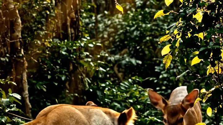 ভিডিওটি ভালো লাগলে Follow করুন এবং আপনার বন্ধুদের সঙ্গে Share করুন।#Bangladesh #BeautifulBangladesh