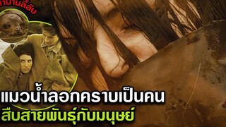 ตำนานลี้ลับ แมวน้ำลอกคราบเป็นสาวสวย สืบสายพันธุ์กับมนุษย์ สปอยหนัง the secret of roan inish