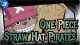 [One Piece] No Normal People in Straw Hat Pirates 26_3
