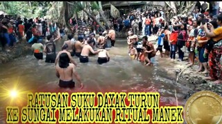 Suku Dayak Kalimantan || Ritual Manek🔴