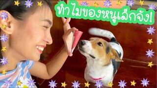 โลกของแสนดี ตอน ฝึกกินไอติมโคนครั้งแรก