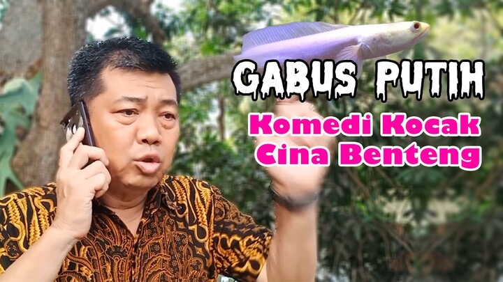 GABUS PUTIH  #Komedi Kocak Cina Benteng KOKO CIBEN