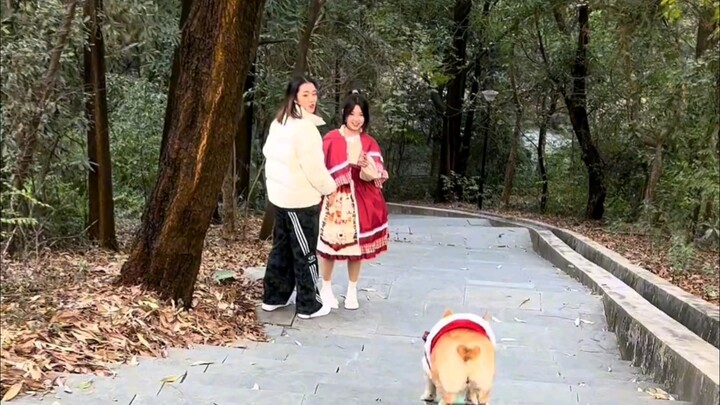 我承认，刚开始的它有点害羞