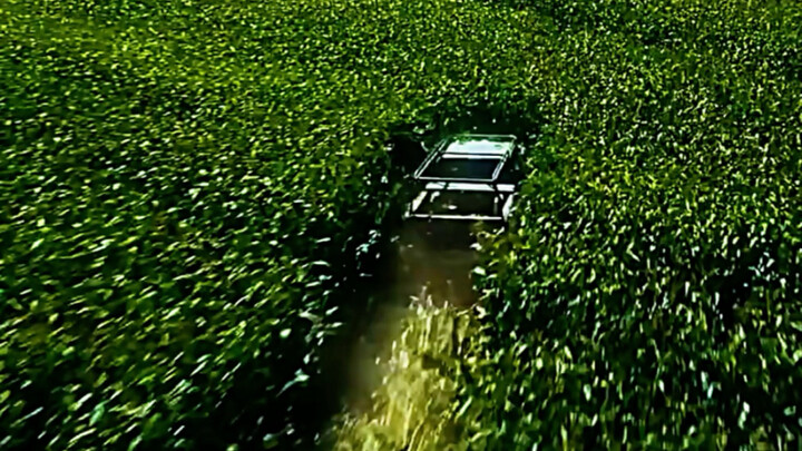 For these few minutes of footage, Nolan planted 500 acres of corn