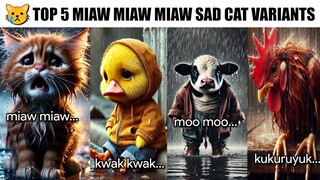 Top 5 Miaw Miaw Miaw Sad Cat Variants...