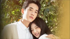 A Robot In The Orange Orchard S01 E02 720p Hindi