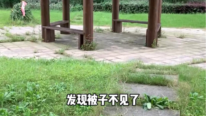 Ugh, looks like I was just being too clever for my own good.