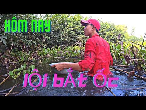 ở quê dễ kiếm đồ ăn lắm ra đồng tí là có