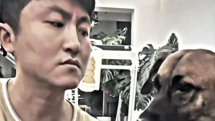 ความฉลาดของสุนัข