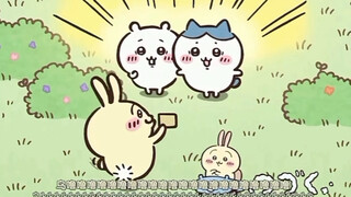活力四射的乌萨奇宝宝o(〃'▽'〃)o