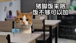 男生的那些出厂设置#猫meme小剧场#抽象#真实还原#npc#搞笑