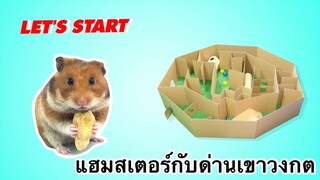 เพื่อนตัวน้อย สัตว์เลี้ยงแสนซน : แฮมสเตอร์กับด่านเขาวงกต