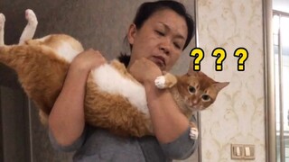 [Mr. White and Brown] Good thing I'm not someone Dun Dun dislikes...