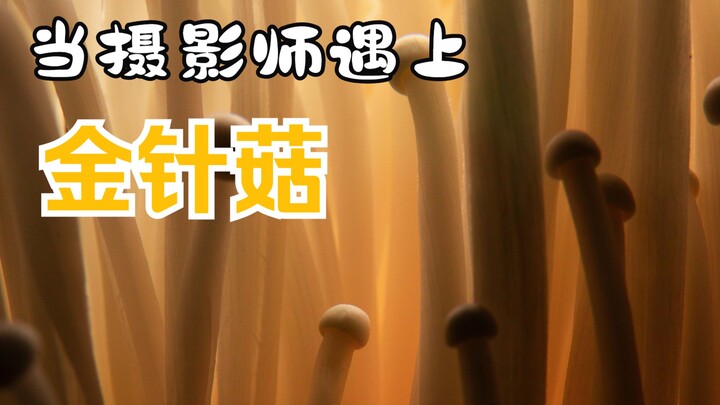 当摄影师遇上金针菇~