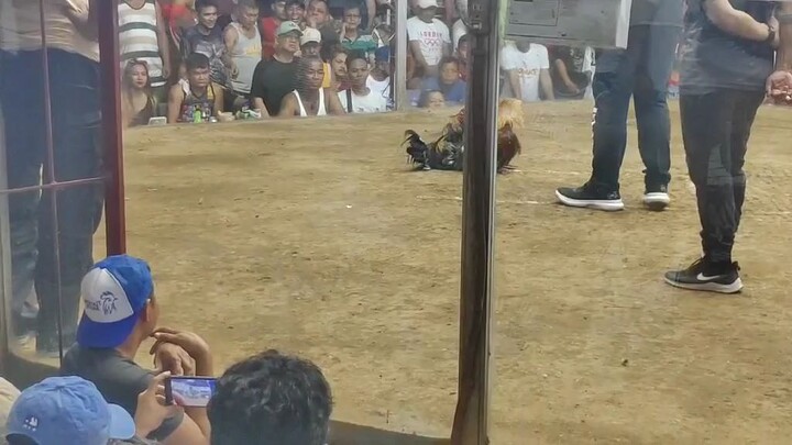 upgraded elnino conditioning system dapa na nanalo alright