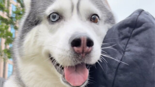 لا أصدق أنني الوحيد الذي هكذا.