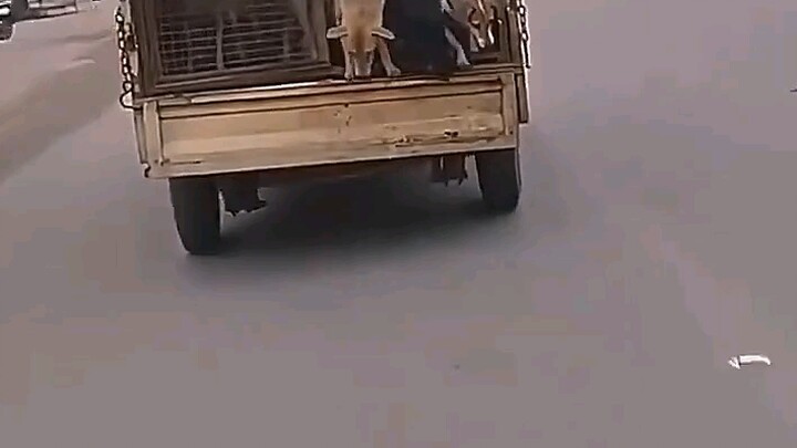 Three Release Blues Tutorials