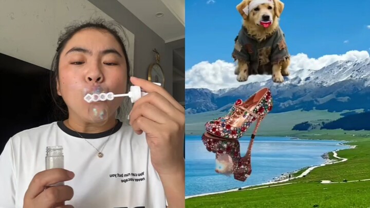 狗狗送给你的高跟鞋。