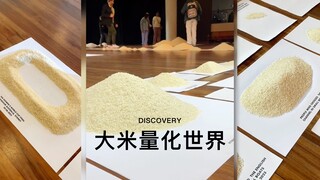 用大米来量化一下这个世界‼️