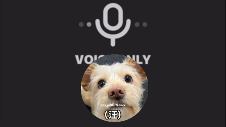 นาถยอน ฉันขอเป็นหมาของโมโมได้ไหม? (แถมท้ายด้วยนาถยอนสอนโดบบี้!)