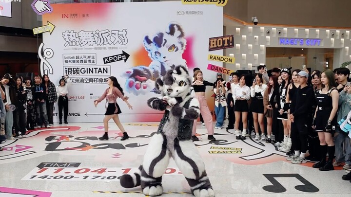 [Gintan, Furry Dance] Random dance events in Chongqing on November 4, 2023 - Only excerpts including
