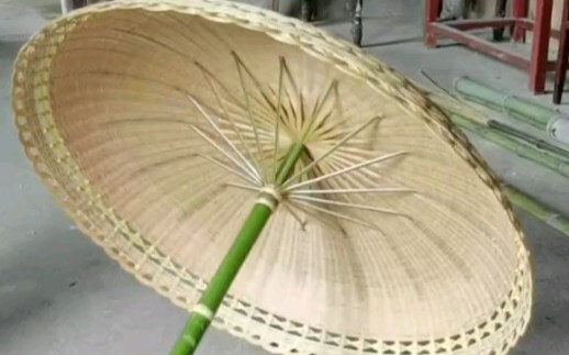 parasol