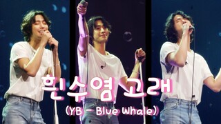 231125 [4K] 안효섭 팬미팅 흰수염 고래 (Blue Whale) - Ahn Hyo Seop Fanmeeting in Seoul