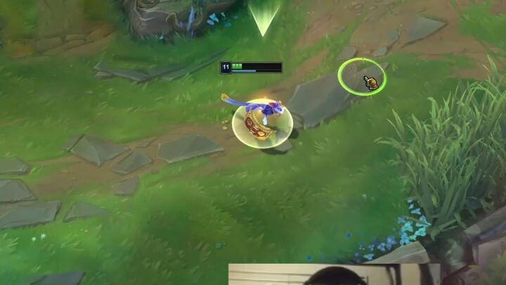 There’s always a cat secretly watching out for you.