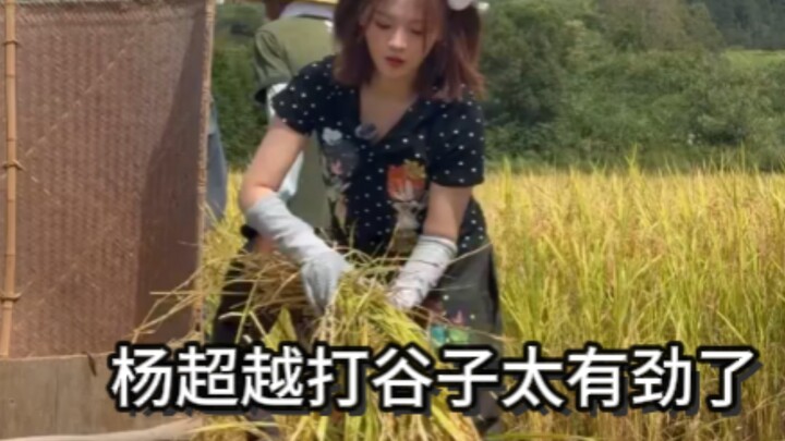 Dương Siêu Việt vừa mở mắt ra là bắt tay vào làm việc ngay, cô ấy làm việc rất ra dáng, không phải k