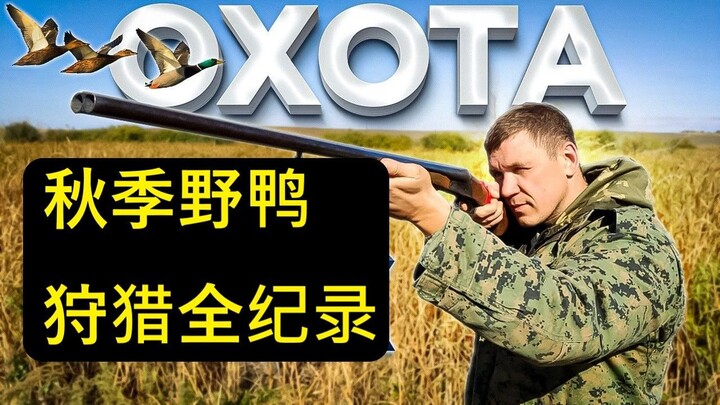 Wilderness Call: Dawn Duck Hunting Tactics / 荒野绝地：清晨野鸭伏击战