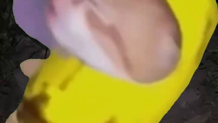 عندما كنت صغيرًا، كنت أرافق أبي لتناول الطعام في حفلات العزائم